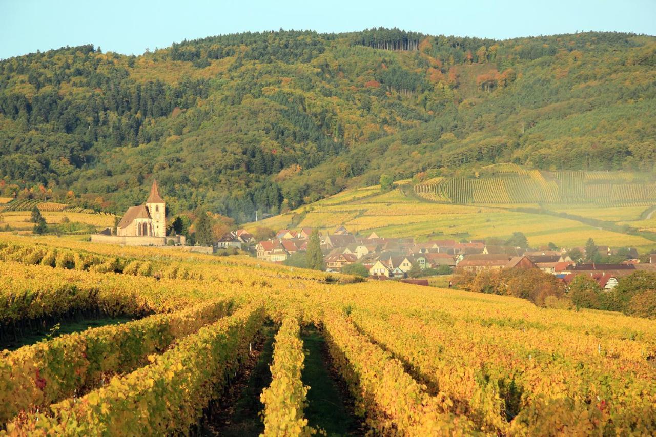Appartamento Le 19 Kleber Climatise Colmar Esterno foto
